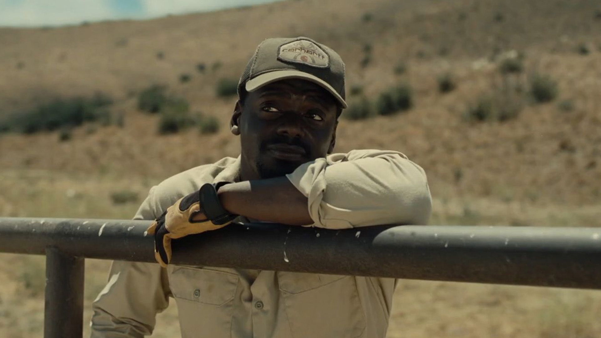Filmreview: NOPE – Jordan Peele ontleedt onze fascinatie voor het onmogelijke