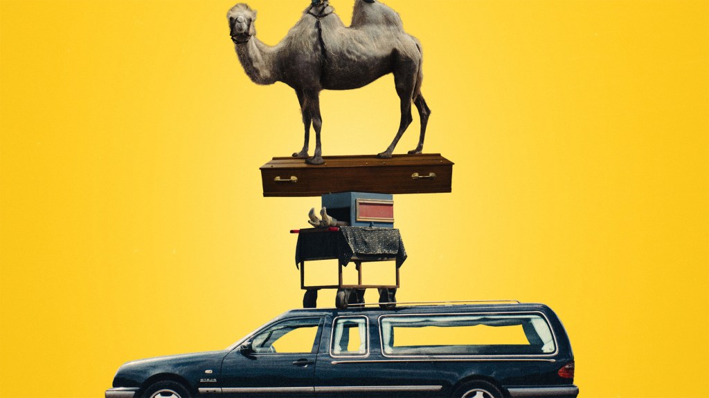 Eerste trailer voor WAAROM WETTELEN van Dimitri&nbsp;Verhulst