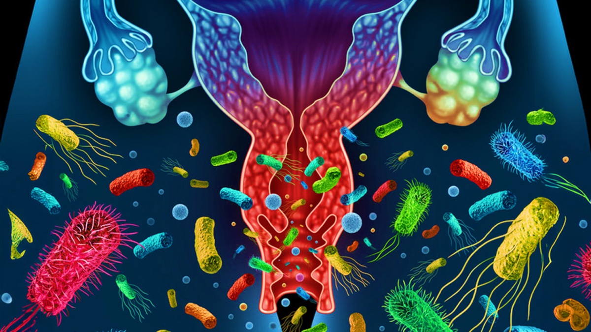 DOCVILLE steunt opnieuw wetenschappelijke documentaires