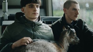 Putain wint de Ha! van Humo 2025