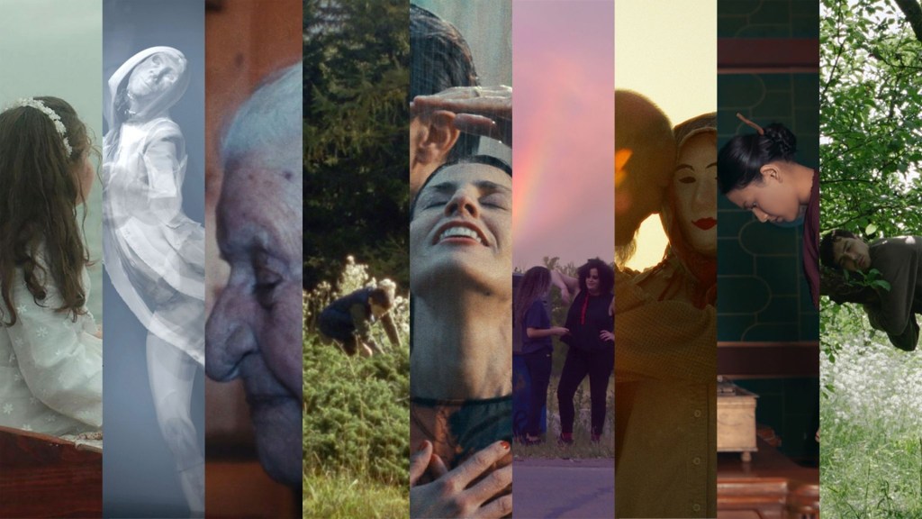 Tiger, Big Screen en Tiger Short Competities onthuld voor IFFR 2025