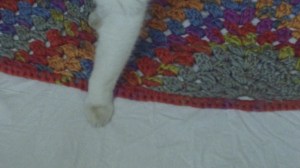 Korte documentaire van Marthe Peters in competitie in Berlijn