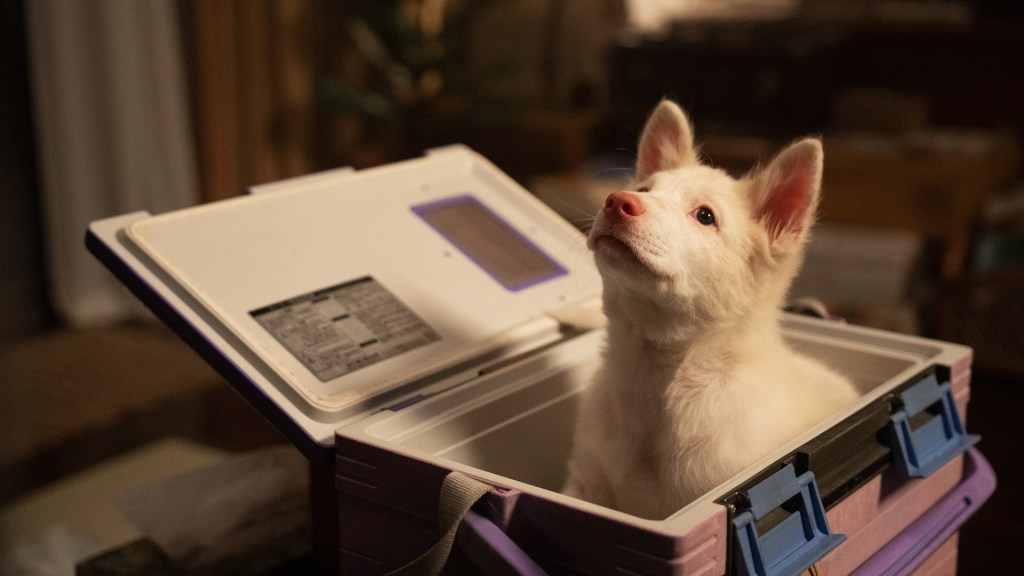 Filmrecensie: Gohan