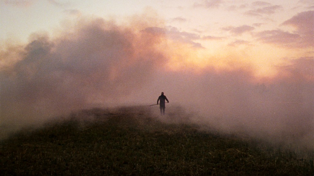 Filmrecensie: Rietland