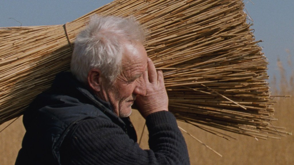 Filmrecensie: Rietland